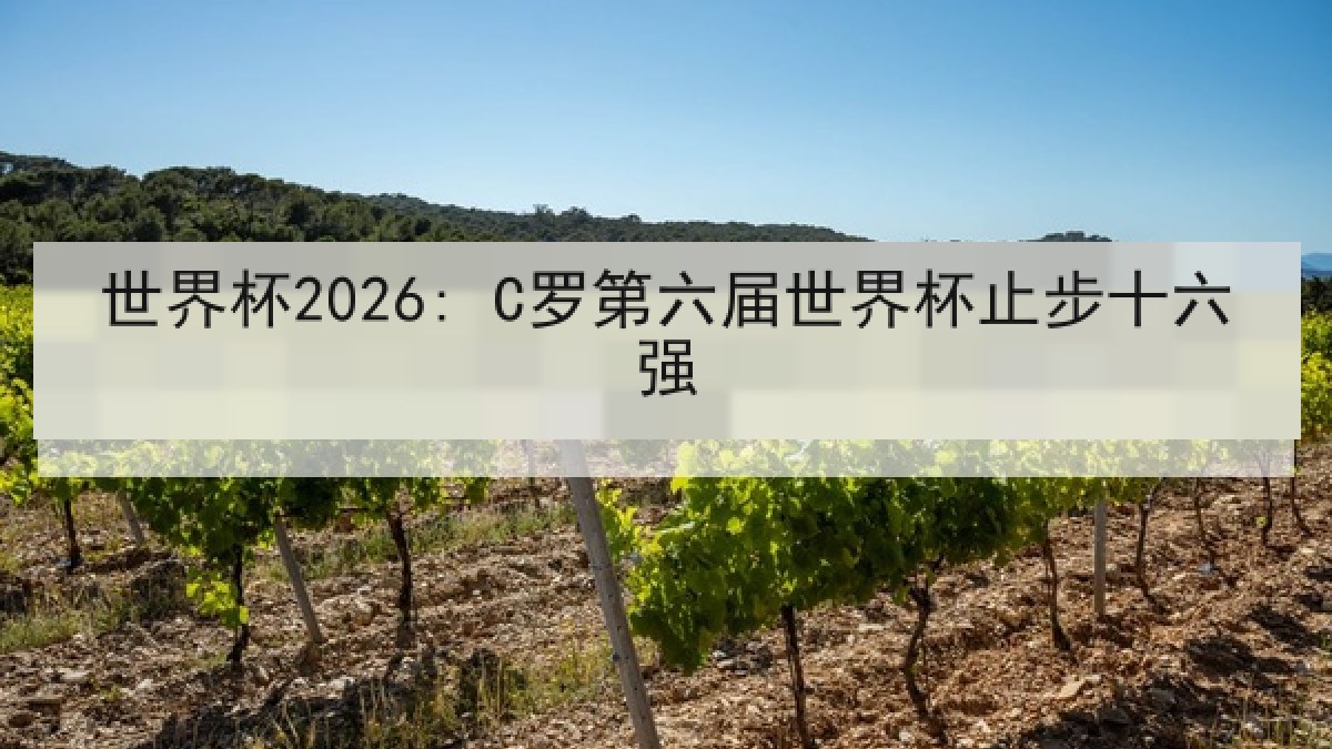 世界杯2026: C罗第六届世界杯止步十六强