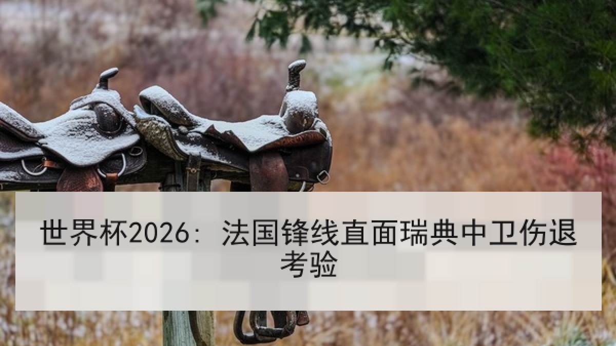 世界杯2026: 法国锋线直面瑞典中卫伤退考验