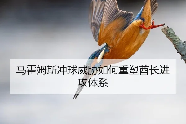 ma-huo-mu-si-chong-qiu-wei-xie-ru-he-zhong-su-qiu-zhang-jin-gong-ti-xi-3-830.jpg