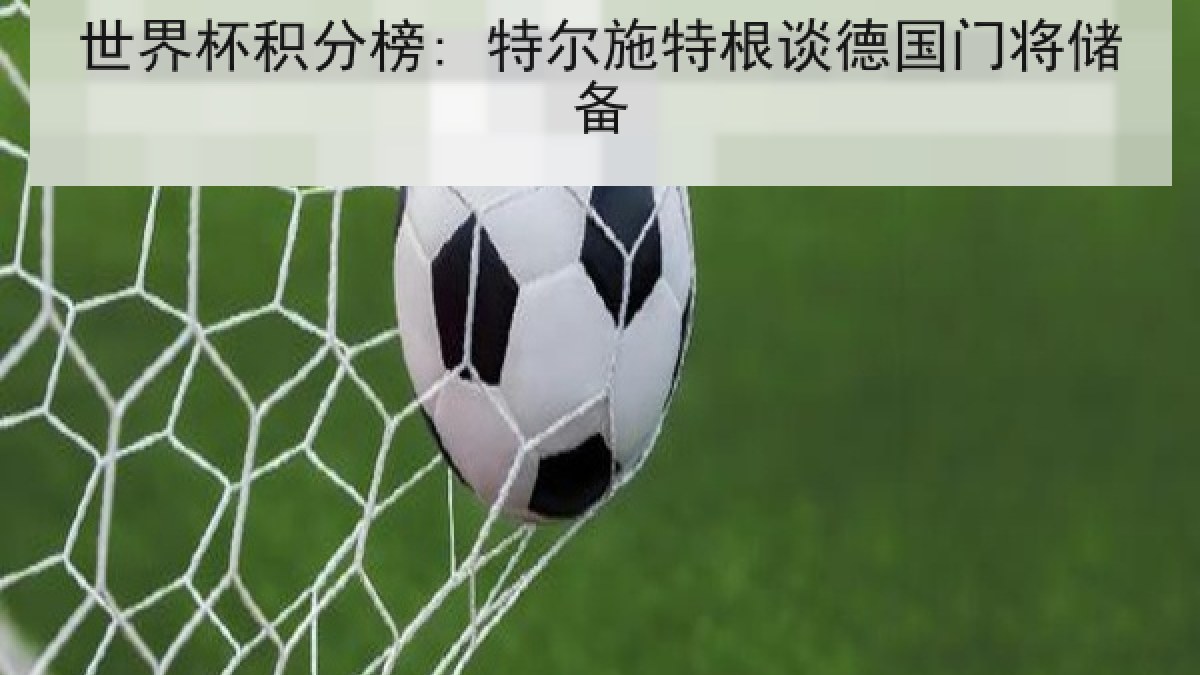 世界杯积分榜: 特尔施特根谈德国门将储备